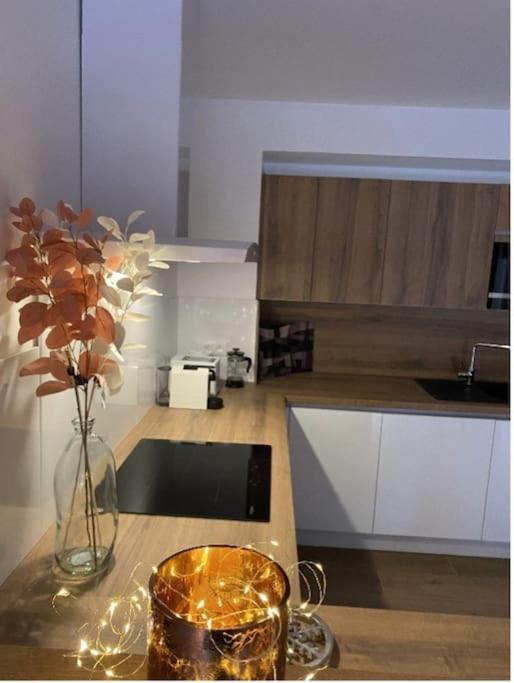 Apartamento Le Doux Meleze Saint-Chaffrey Exterior foto